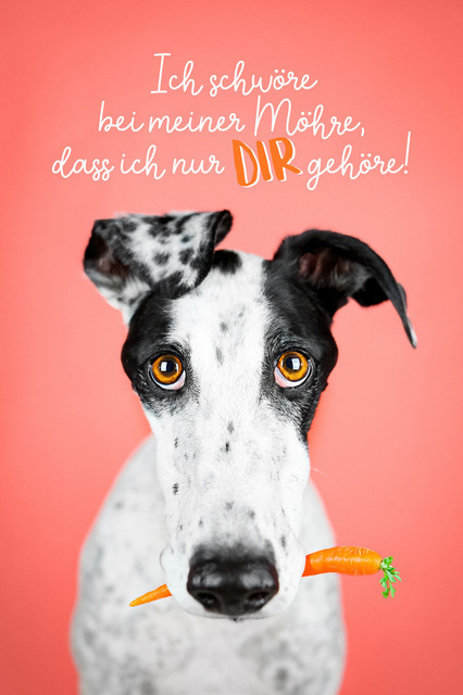Bei meiner Möhre | "Ich schwöre bei meiner Möhre, dass ich nur DIR gehöre!"