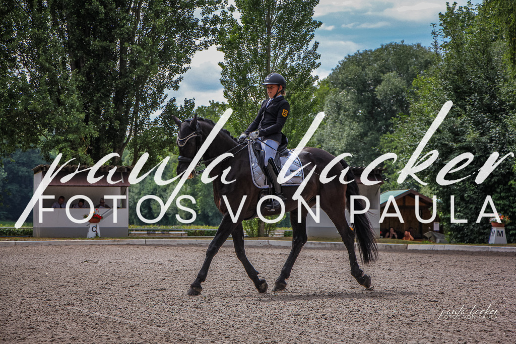 IMG_8943 | Erleben Sie dynamische Sport- und emotionale Tierfotografie in Süddeutschland mit Fotos von Paula. Spezialisiert auf Pferde- und Hundefotografie sowie Sportevents. Kontaktieren Sie mich für einzigartige und ausdrucksstarke Bilder Ihrer besonderen Momente.