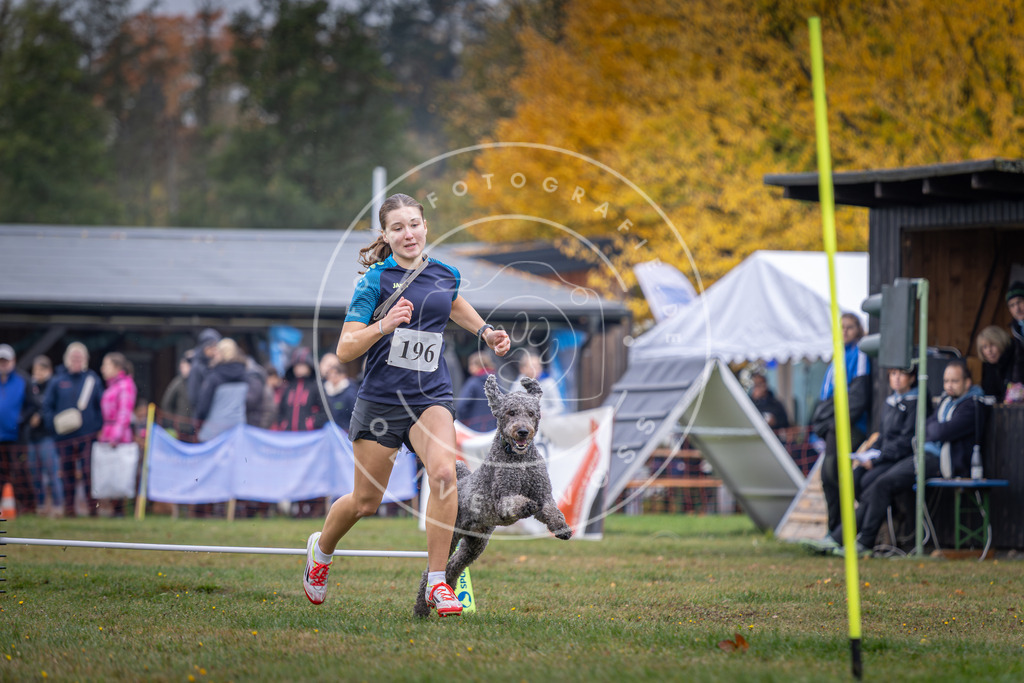 Pfotenfotografie_DV3A0731 | Hundefotografie, Tierfotograf, Pfotenfotografie, Fotoshooting Hund, Hunde Portrait, Hundesport, Hundeportraits, Heideshooting, Hunde, Sportfotograf, Hundefotograf, Turnierhundsport, THS,  - Realisiert mit Pictrs.com