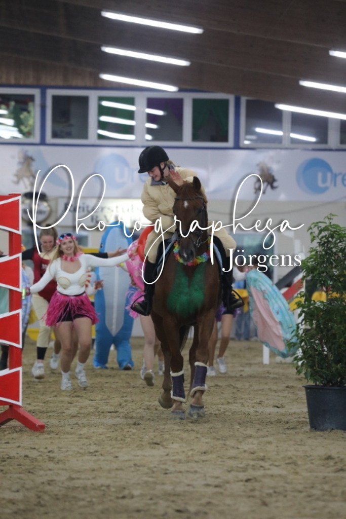 IMG_1944 | photographesa-joergens - Realisiert mit Pictrs.com