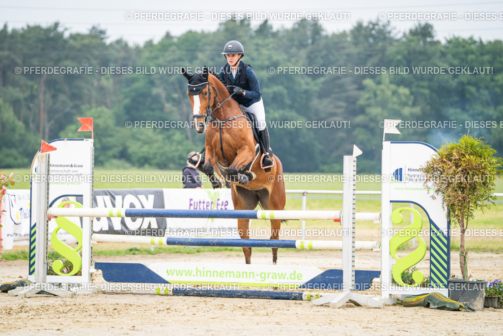 DSC00061 | Pferdegrafie