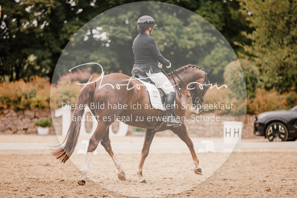 3I6A5890 | Stimmungsvolle Portraits und Reitsportfotografie im Ruhrgebiet und im Münsterland.

Pferdefotografie, Hundefotografie, Tierfotografie, Reportagen, Portraits von Tier und Mensch, Turnierfotografie in Bochum, Recklinghausen, Marl, Haltern am See, Dülmen.. - Realisiert mit Pictrs.com