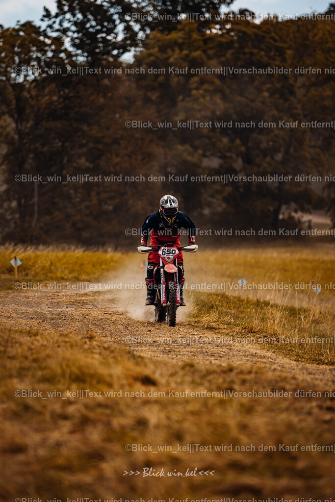 E68A8383 | blick_win_kel