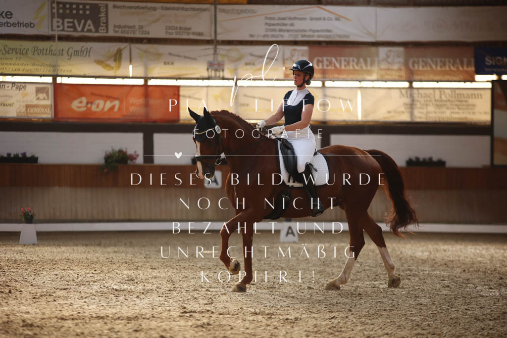 IMGS3154 | pl-fotografie