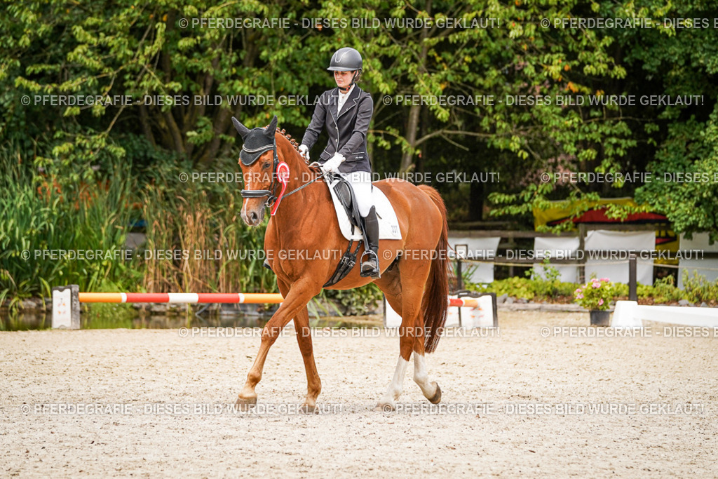 DSC04682 | Pferdegrafie