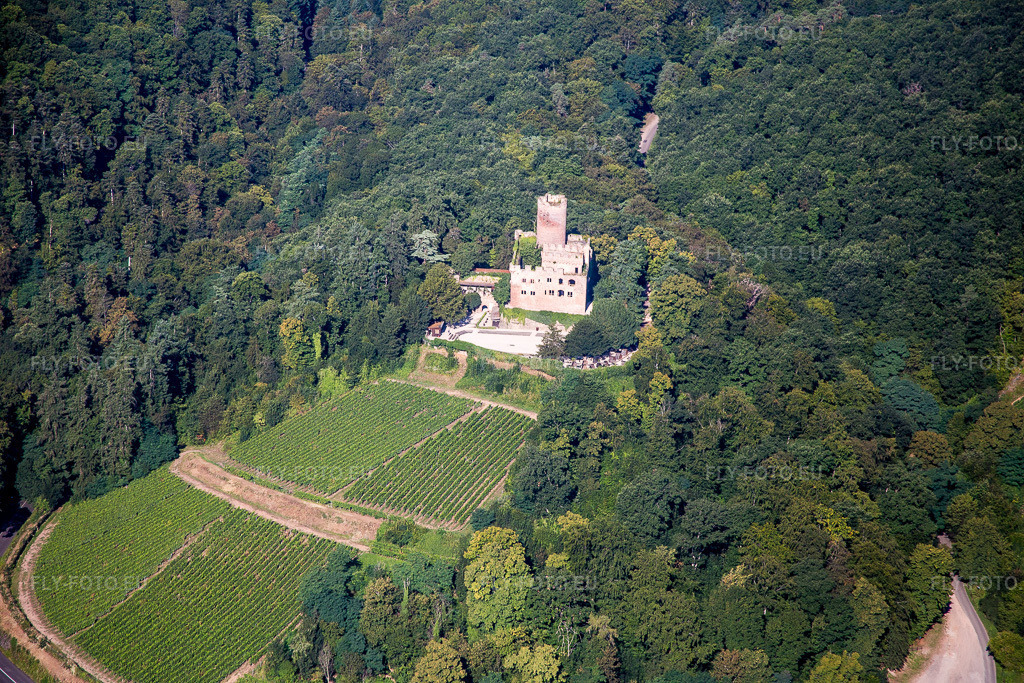 Vue aérienne: Complexe du château du Château de Kintzheim à Kintzheim dans le département Bas Rhin, France. Photo: IMG_093291.jpg prise le 16/08/2016 par Werner Riehm/FLY-FOTO.euRésolution de l'original: 5472 x 3648 px