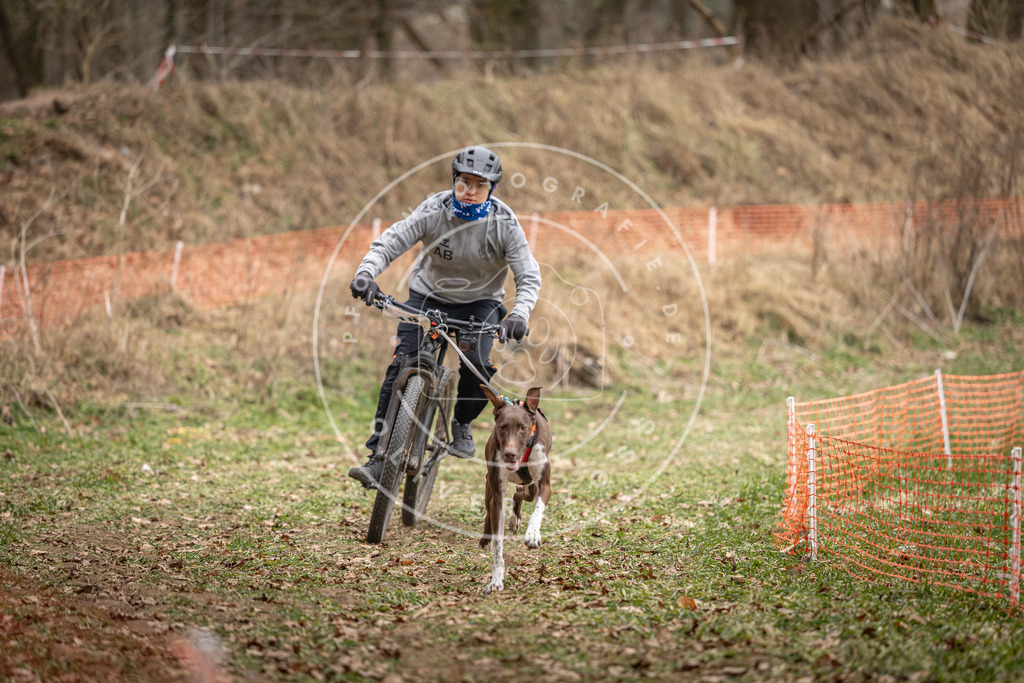Pfotenfotografie_DV3A6894 | Hundefotografie, Tierfotograf, Pfotenfotografie, Fotoshooting Hund, Hunde Portrait, Hundesport, Hundeportraits, Heideshooting, Hunde, Sportfotograf, Hundefotograf, Turnierhundsport, THS,  - Realisiert mit Pictrs.com