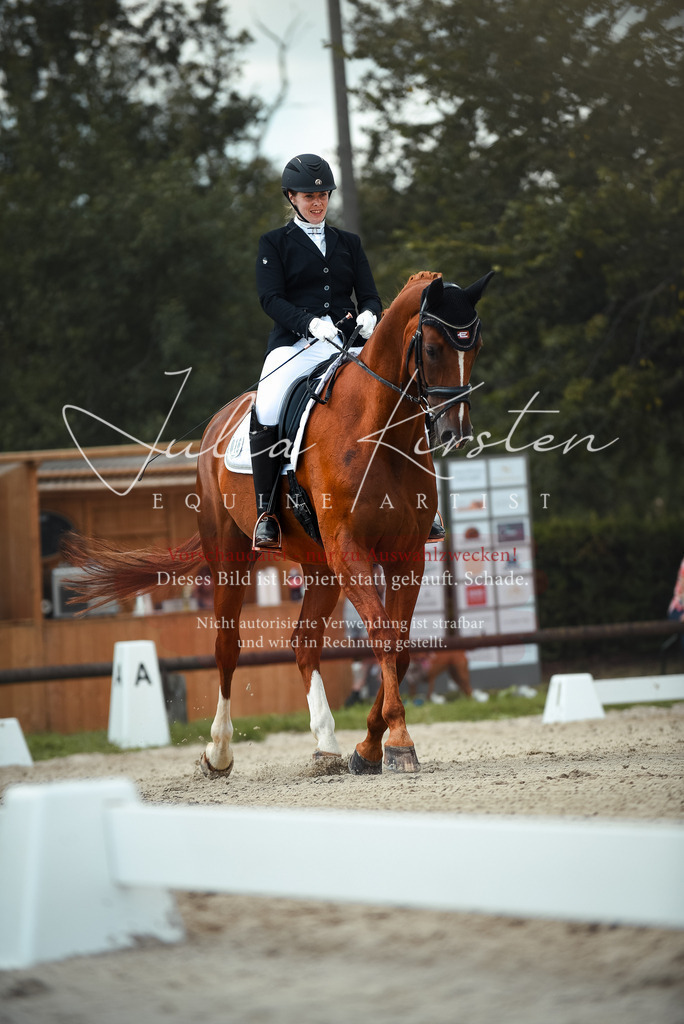 DSC_9091 | Pferde- und Turnierfotografie in Westsachsen. Pferdeportraits, Auftragszeichnungen und intuitive Kunst.