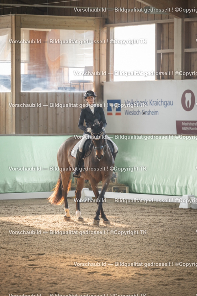 _D5A4029 | Emotionale Pferde- & People-Fotografie rund um Heidelberg, Leimen & Umgebung. Natürliche Fotos von Pferd, Mensch & Familie. Jetzt Termin sichern!