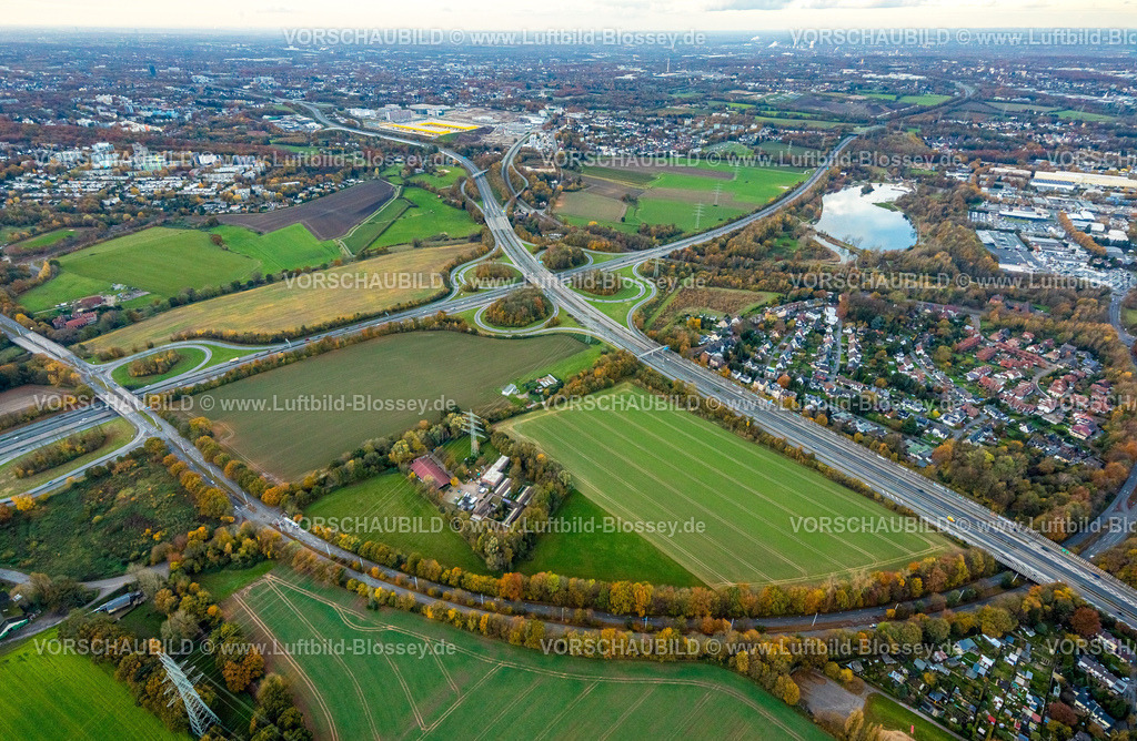 Bochum231102322 | Luftbild, Autobahnkreuz Bochum-Witten der Autobahn A43 und Autobahn A448, Autobahnanschlussstelle Universitätsstraße mit dem Tierheim Bochum inmitten Wiesen und Feldern mit herbstlichen Laubbäumen, geplantes Gelände für das Bundesligastadion Vonovia Ruhrstadion des Fußballvereins VfL Bochum 1848, Blick zum Ümminger See und BAugebiet Mark 51/7, Langendreer, Bochum, Ruhrgebiet, Nordrhein-Westfalen, Deutschland