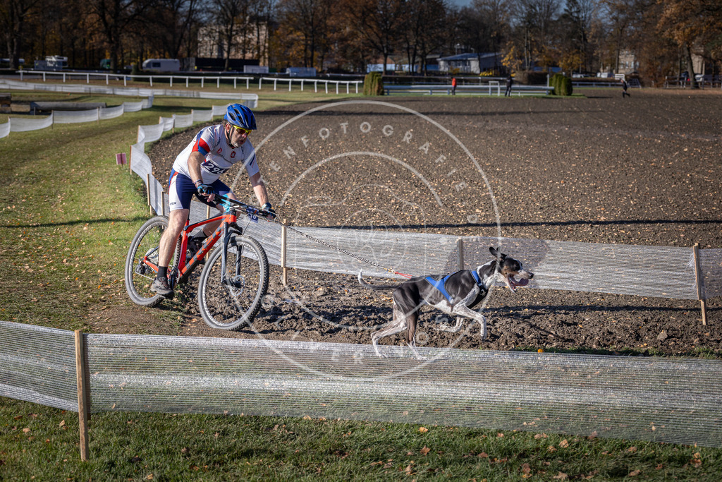 CaniXpix_DV3A5998 | Hundefotografie, Tierfotograf, Pfotenfotografie, Fotoshooting Hund, Hunde Portrait, Hundesport, Hundeportraits, Heideshooting, Hunde, Sportfotograf, Hundefotograf, Turnierhundsport, THS,  - Realisiert mit Pictrs.com
