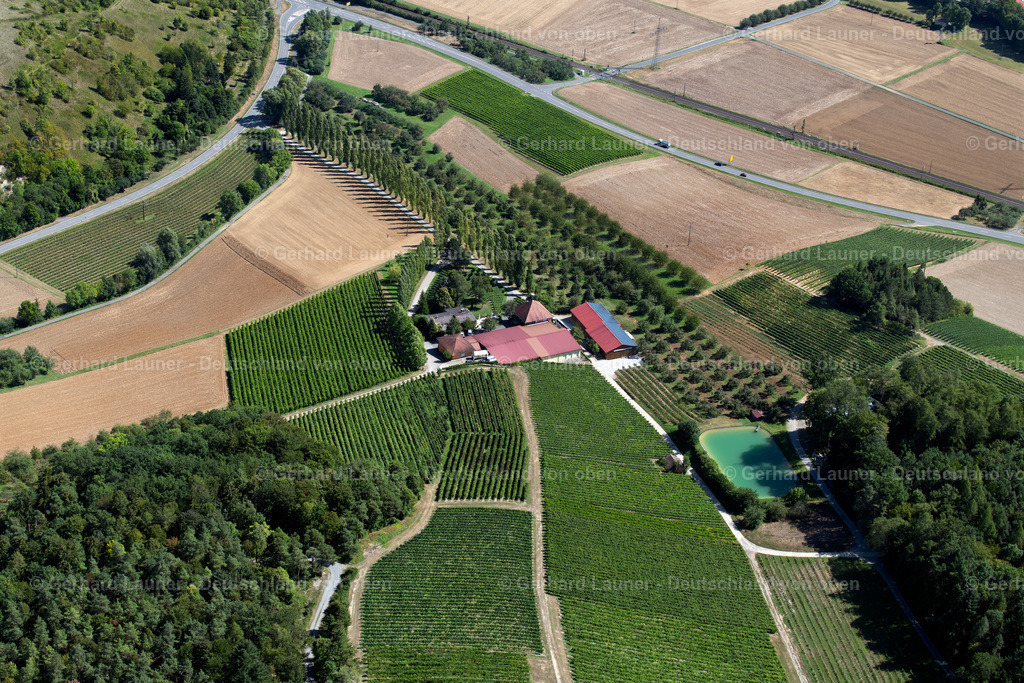 3902358 | Weingut Benz, Lauda-Königshofen