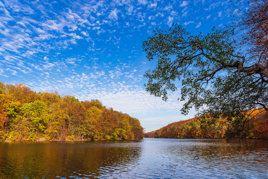 Blick über den See Schmaler Luzin auf die herbstliche Feldberger Seenlandschaft | Blick über den See Schmaler Luzin auf die herbstliche Feldberger Seenlandschaft.
