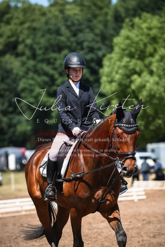DSC_2730 | Pferde- und Turnierfotografie in Westsachsen. Pferdeportraits, Auftragszeichnungen und intuitive Kunst.