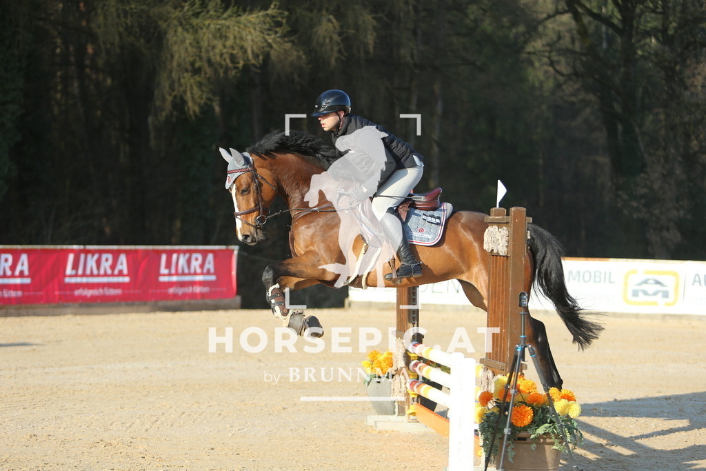 DL2Q7401 | Willkommen bei Brunnmayr - Design & Fotografie – Ihrem Spezialisten für Reitturniere und Pferdeveranstaltungen in Oberösterreich, Salzburg und Bayern! Seit über 17 Jahren sind wir leidenschaftlich dabei.