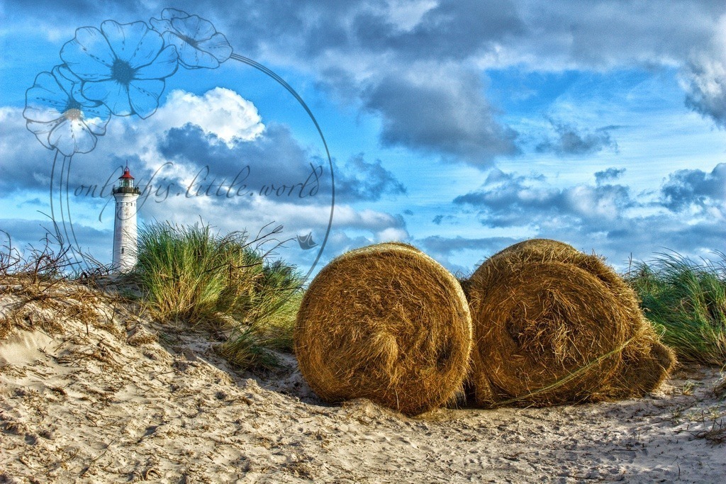 IMG_9778-02 | only.this.little.world - Realisiert mit Pictrs.com