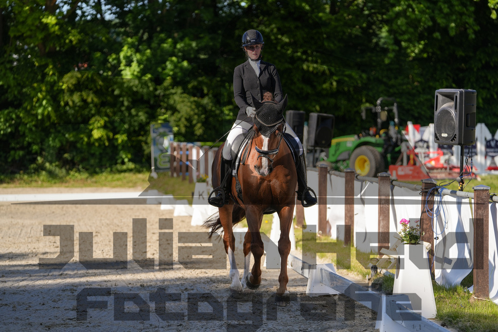 DSC00771 | Julian Held Fotografie - Realisiert mit Pictrs.com