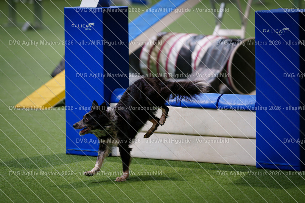 allesWIRTHgut_Tierfotografie-DVG_Agility_Masters_2026-15_56-7R503132 | Professionelle Tierfotografie in Mönchengladbach von Daniel Wirth (allesWIRTHgut). Liebevolle & natürliche Bilder von Hunden & Katzen für unvergessliche Erinnerungen.