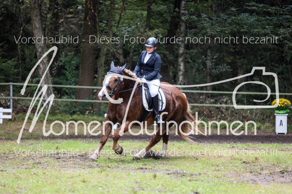 HB-Reiter-WB-071 | MomenTaufnahmen Pferdesportfotos