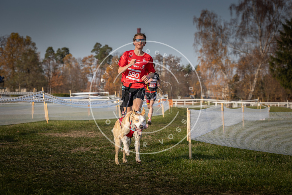 CaniXpix_0L8A9634 | Hundefotografie, Tierfotograf, Pfotenfotografie, Fotoshooting Hund, Hunde Portrait, Hundesport, Hundeportraits, Heideshooting, Hunde, Sportfotograf, Hundefotograf, Turnierhundsport, THS,  - Realisiert mit Pictrs.com