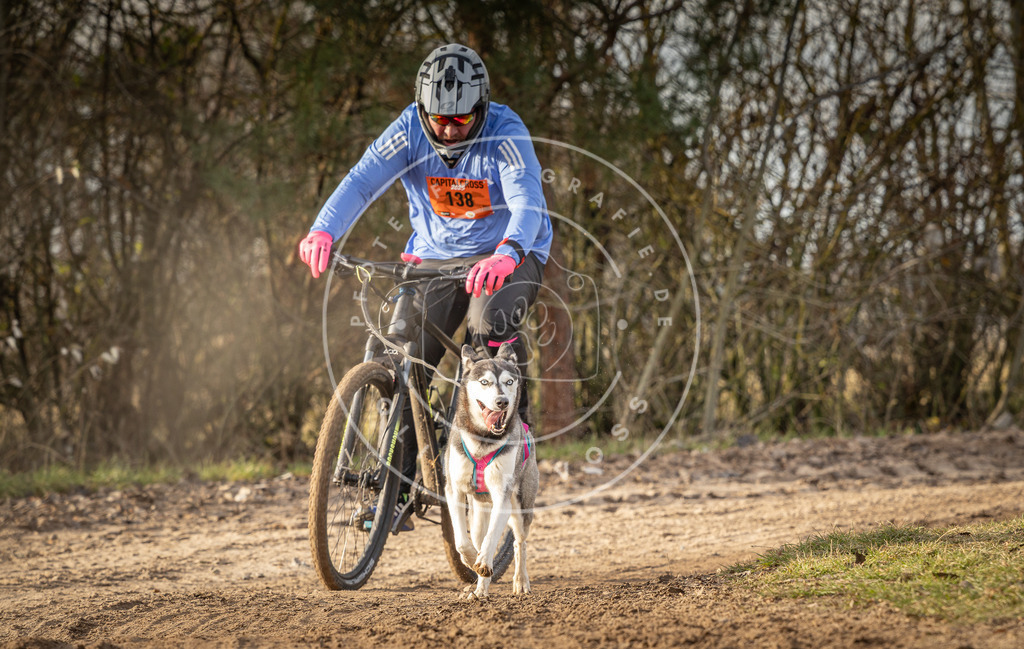 Pfotenfotografie_DV3A8751 | Hundefotografie, Tierfotograf, Pfotenfotografie, Fotoshooting Hund, Hunde Portrait, Hundesport, Hundeportraits, Heideshooting, Hunde, Sportfotograf, Hundefotograf, Turnierhundsport, THS,  - Realisiert mit Pictrs.com