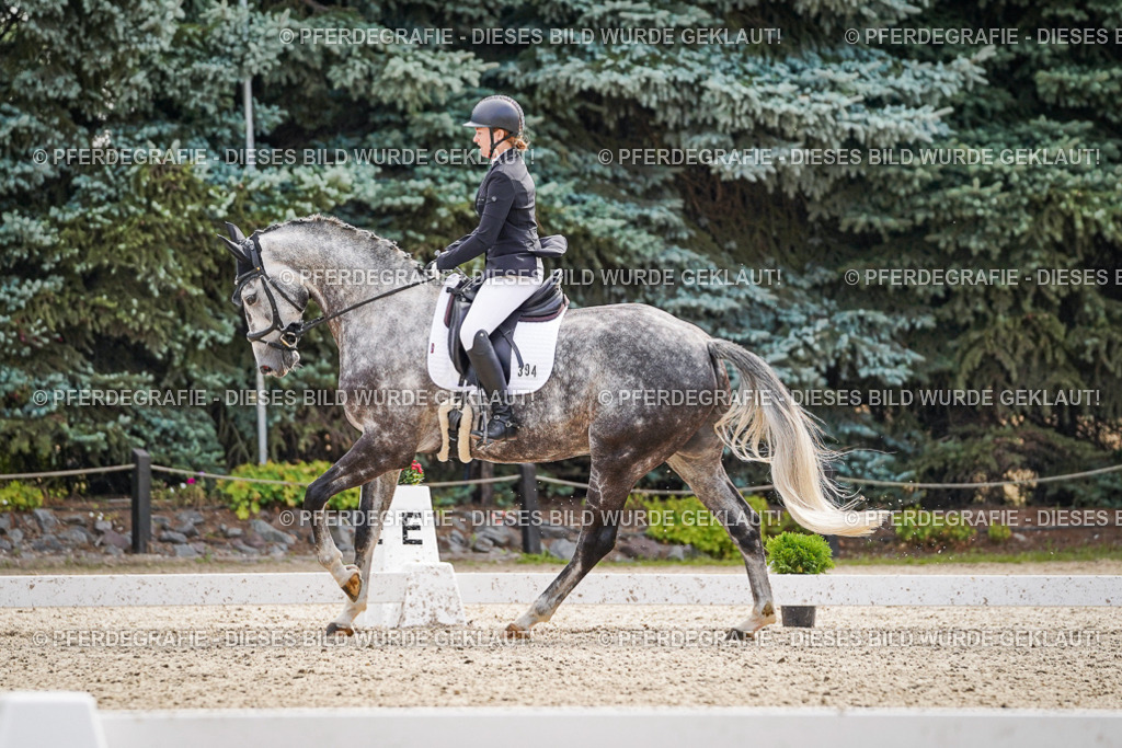 DSC08162 | Pferdegrafie