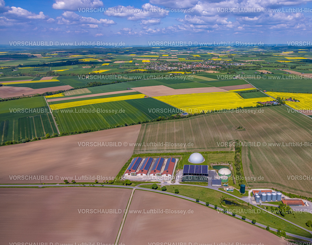 Borgentreich240505086GutDinkelburg | Luftbild, Biogasanlage und landwirtschaftlicher Betrieb mit Solardach, Gutsverwaltung Gut Dinkelburg Graf von Westphalen, Fernsicht blauer Himmel und kachelförmige Wiesen und Felder, Dinkelburg, Borgentreich, Ostwestfalen, Nordrhein-Westfalen, Deutschland
