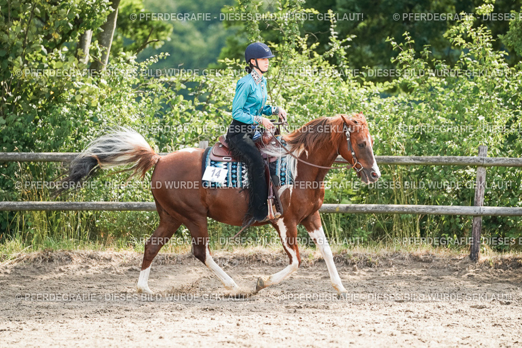 DSC04848 | Pferdegrafie