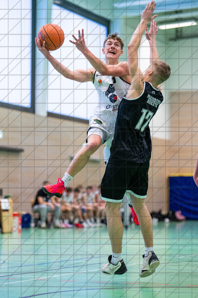 JBBL Relegation Gruppe 1 25/26 | Spieltag 08 | Charisma Young Bulls vs. Paderborn Baskets | 14.12.25: JBBL Relegation Gruppe 1 25/26 | Spieltag 08 | Charisma Young Bulls vs. Paderborn Baskets / Osnabrück / Deutschland  //   CREDIT:www.bullenfotos.de, Martin König, Hörner Weg 40, D-49078 Osnabrück, +4917663732967 // Nutzung und Weitergabe nur zu den vereinbarten Zwecken. Presseanfragen an Ersteller. Alle Rechte beim Ersteller. Honorierung nach MFM. - Realisiert mit Pictrs.com