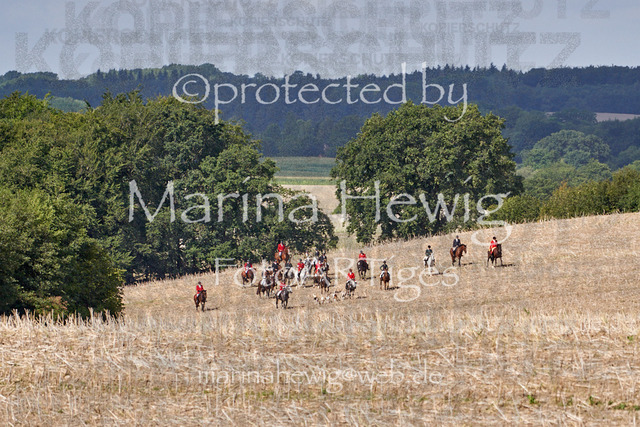 _MCH7960_Marina Hewig | Fotografie, FotoArt, PferdesportArt, Pferdesportfotografie, Landschaftsfotografie, Reisefotografie, Reise, Pferde - Realisiert mit Pictrs.com