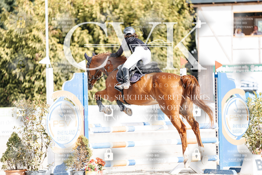CK909033 | Turnierfotografie Pferdefotografie Trier Rheinland-Pfalz Pferdesport Reitsport Tierfotografie Sportfotografie Pferdevideo Pferdevideografie Equestrianvideography equestrianphotography  - Realisiert mit Pictrs.com