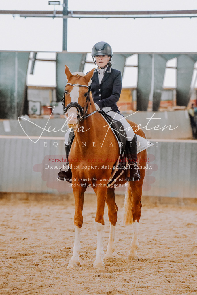 DSC_7695 | Pferde- und Turnierfotografie in Westsachsen. Pferdeportraits, Auftragszeichnungen und intuitive Kunst.