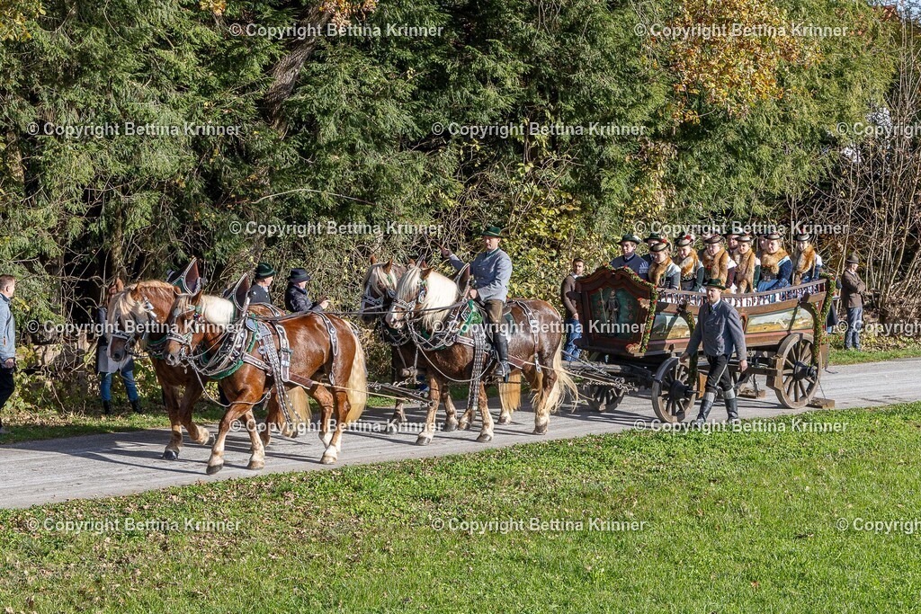 LBT24-490 | foto-bettina-krinner - Realisiert mit Pictrs.com