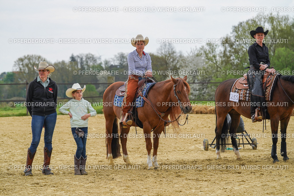 DSC07846 | Pferdegrafie