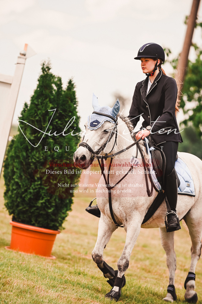 DSC_6947 | Pferde- und Turnierfotografie in Westsachsen. Pferdeportraits, Auftragszeichnungen und intuitive Kunst.