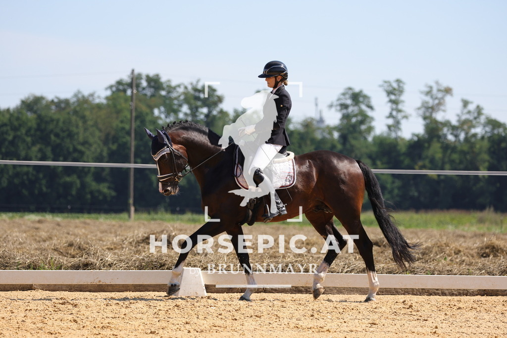 0P6A9605 | Willkommen bei Brunnmayr - Design & Fotografie – Ihrem Spezialisten für Reitturniere und Pferdeveranstaltungen in Oberösterreich, Salzburg und Bayern! Seit über 17 Jahren sind wir leidenschaftlich dabei.