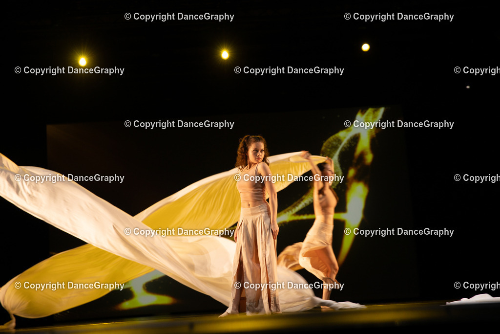 GPHY4168 | DanceGraphy - Realisiert mit Pictrs.com