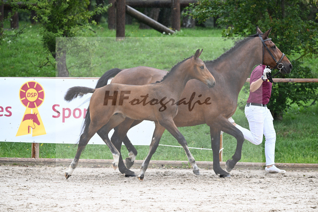 Kat-Nr. 22 HF Coros_Wohlsperger_25230394 | hf-fotografie - Realizzato con Pictrs.com
