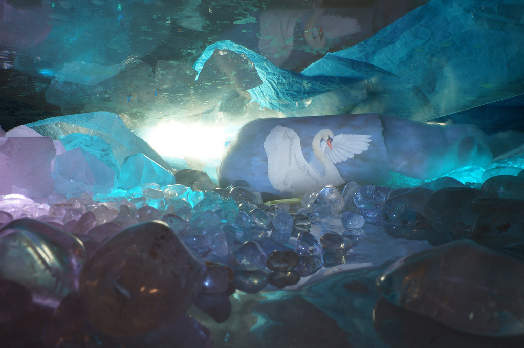 Schwan | cornelia-geissler - Realisiert mit Pictrs.com