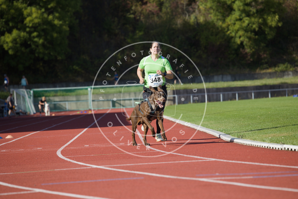 0L8A9322 | Hundefotografie, Tierfotograf, Pfotenfotografie, Fotoshooting Hund, Hunde Portrait, Hundesport, Hundeportraits, Heideshooting, Hunde, Sportfotograf, Hundefotograf, Turnierhundsport, THS,  - Realisiert mit Pictrs.com