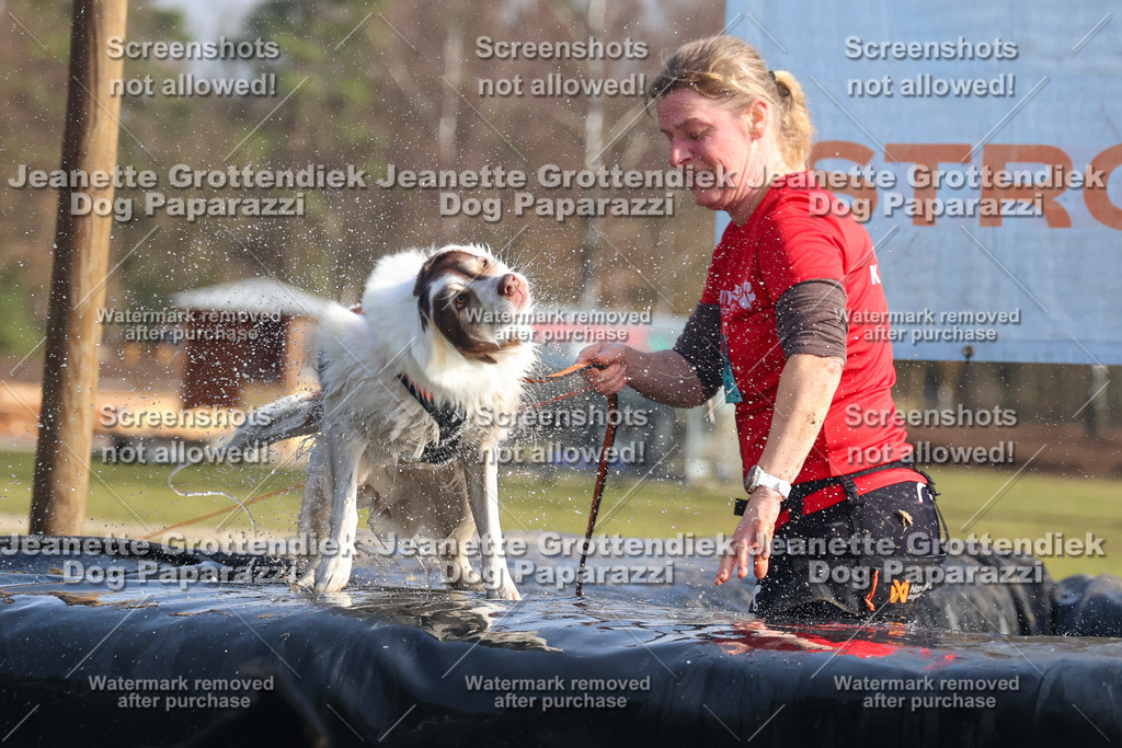 Dog Paparazzi - Strongdog North Mrz26-1858 | Dog Paparazzi Jeanette Grottendiek Fotografie & Videografie - Realisiert mit Pictrs.com