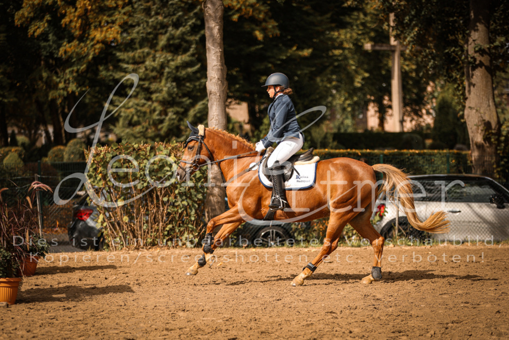 04.SaSpES00128 | Leoni Ertmer Photography - Realisiert mit Pictrs.com