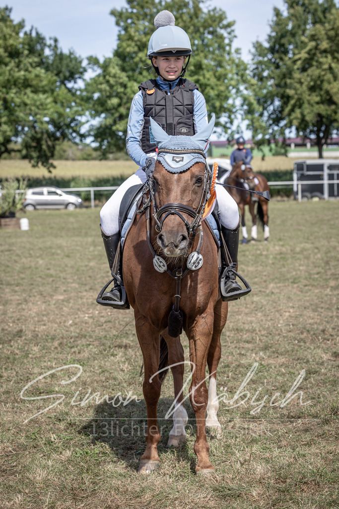 20250907-_3LI0411 | Tierfotografie Pferde, Hunde, Katzen, Haustiere.
Turnierfotografie Reitturniere, Reiten, Springreiten, Dressur in Hanau, dem Main-Kinzig-Kreis und dem Rhein-Main- Gebiet um Frankfurt