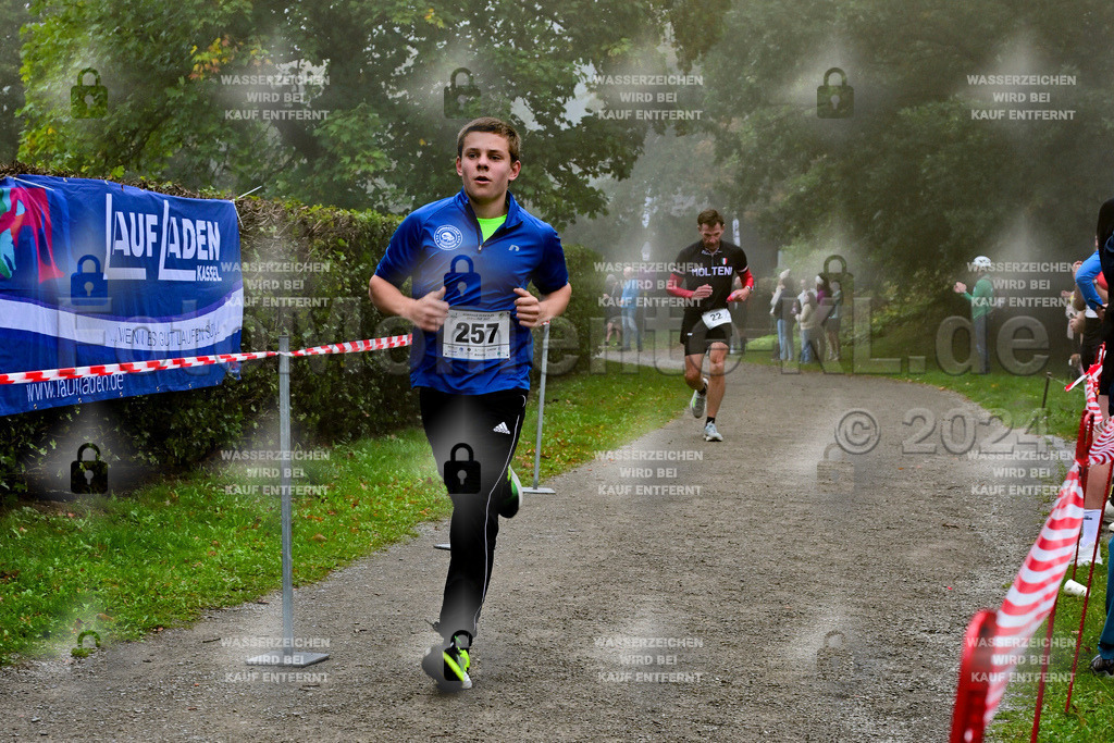 Z8N_2007 | la-psv - Realisiert mit Pictrs.com