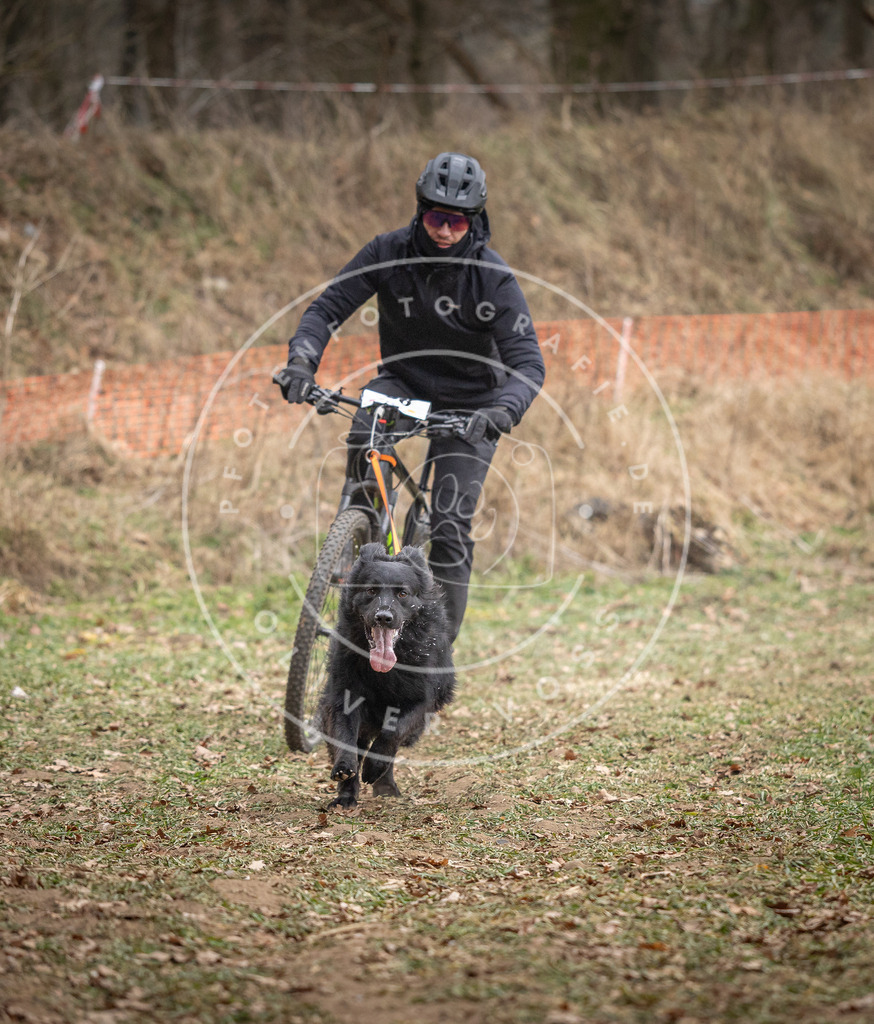 Pfotenfotografie_DV3A6182 | Hundefotografie, Tierfotograf, Pfotenfotografie, Fotoshooting Hund, Hunde Portrait, Hundesport, Hundeportraits, Heideshooting, Hunde, Sportfotograf, Hundefotograf, Turnierhundsport, THS,  - Realisiert mit Pictrs.com