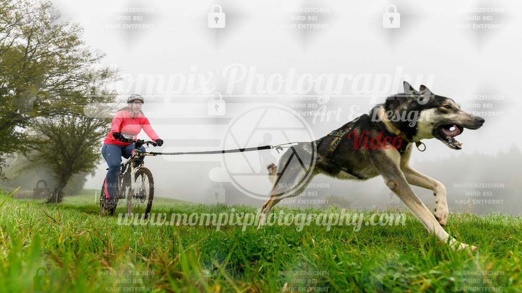 MompixPhotography_20TSB_E5_Bike-117 | PayLife