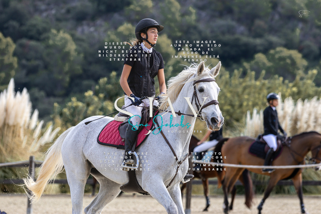 IMG_5464 | s-jay-photography - Realisiert mit Pictrs.com