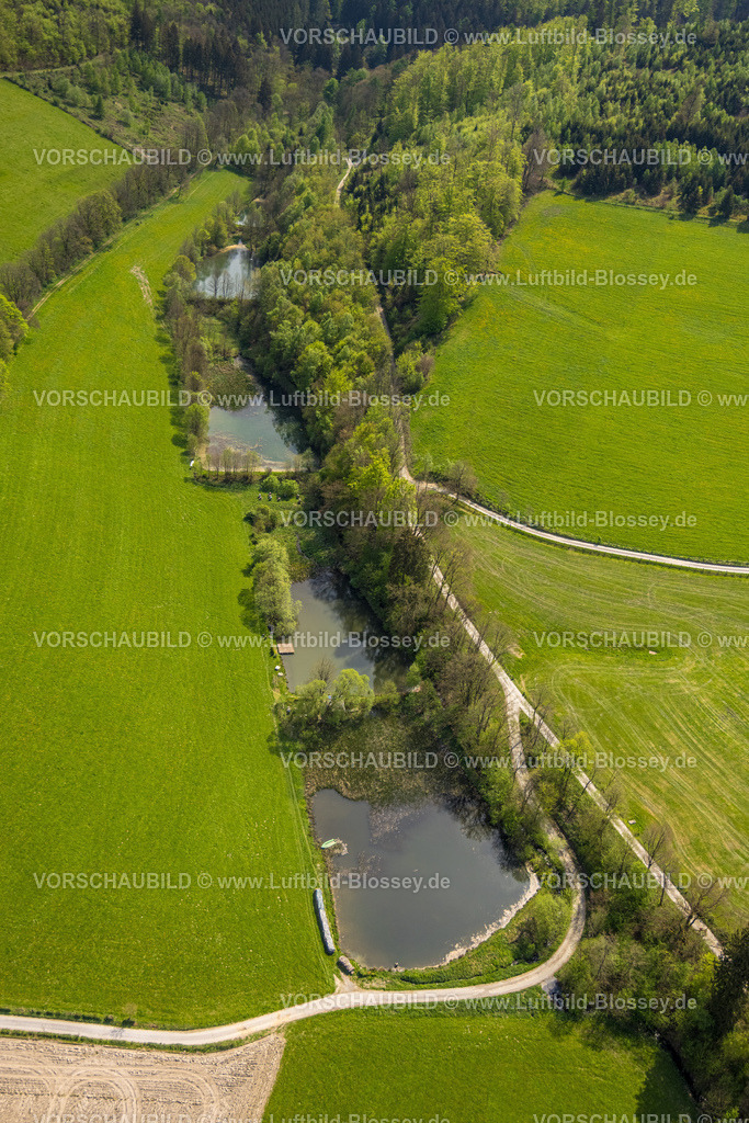 Schmallenberg240505526 | Luftbild, Fluss Bremecke Über den Teichen, Wald und Wiesen und Felder, Grafschaft, Schmallenberg, Sauerland, Nordrhein-Westfalen, Deutschland