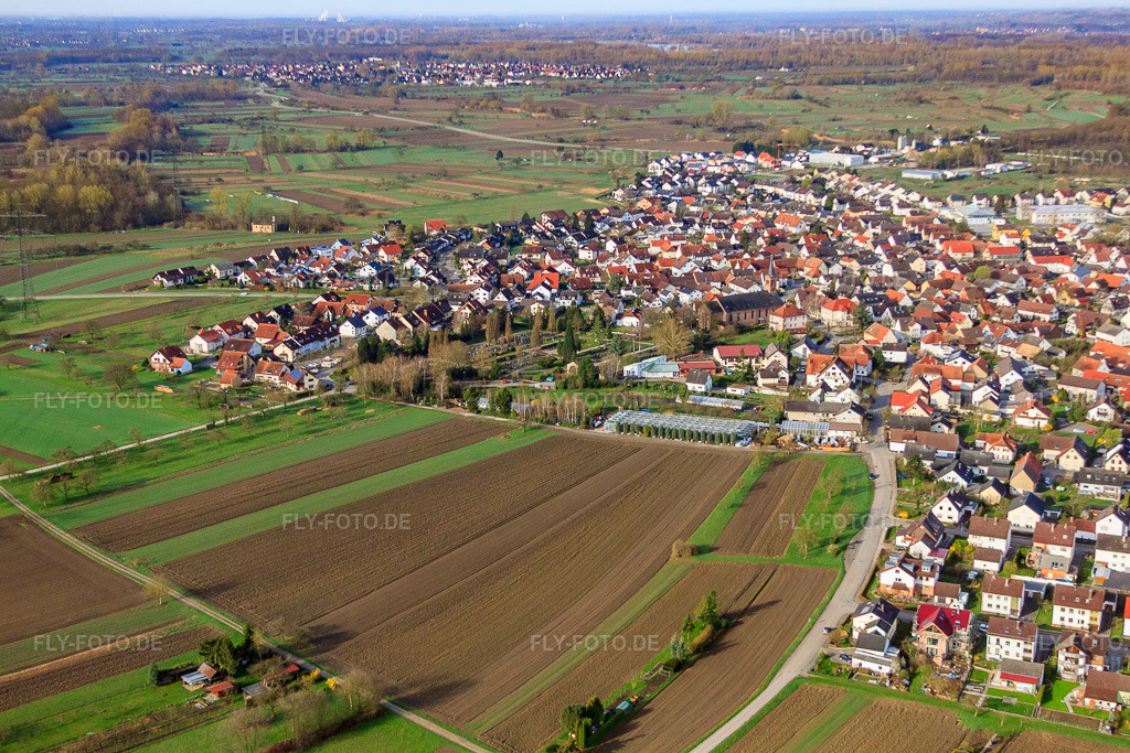 Luftbild: Augartenstr in Au am Rhein im Bundesland Baden-Württemberg in Deutschland. Foto: IMG_25538.jpg vom 02.04.2010 durch Werner Riehm/FLY-FOTO.de
