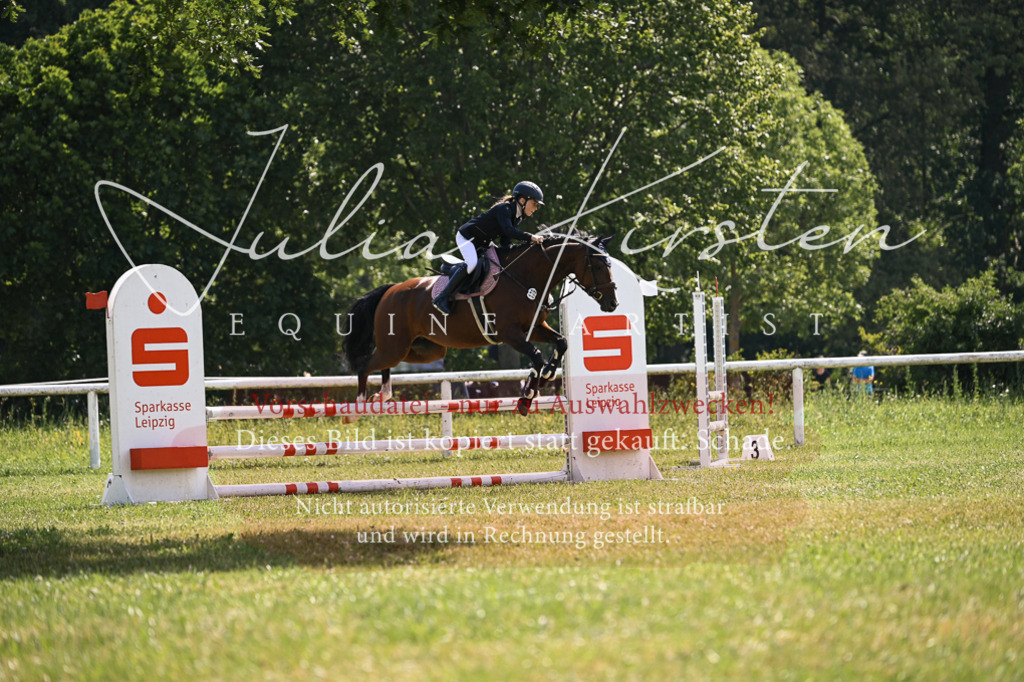 DSC_9000 | Pferde- und Turnierfotografie in Westsachsen. Pferdeportraits, Auftragszeichnungen und intuitive Kunst.